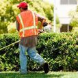 Man weed whacking