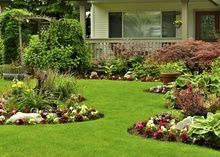 Landscaped